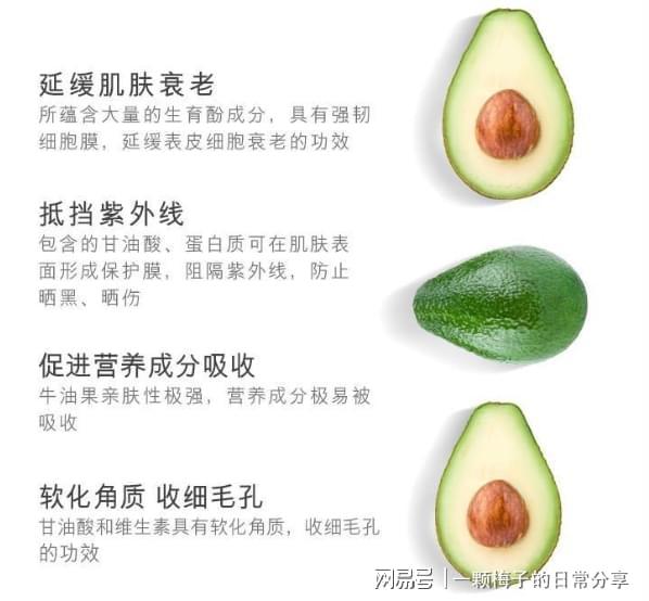 没有早点发现这十款！简直太好用了！J9国际网站护手霜哪个牌子好？后悔(图9)